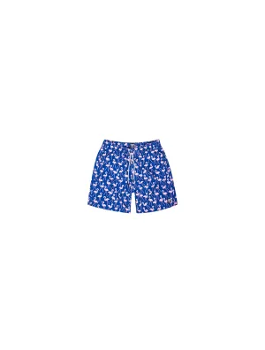 TOM AND TEDDY Flamingo Boys Swimwear Rose